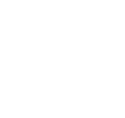 Logo | Lacrosse Fanatic